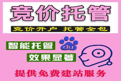 SEM搜索引擎优化：成功案例解析